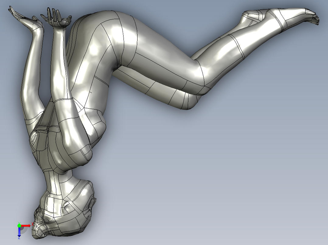 人体模型(114)俯视图