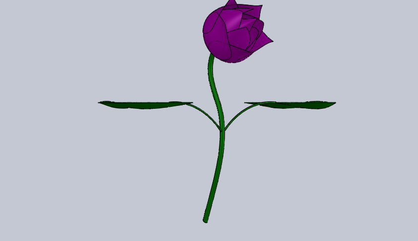 莲花