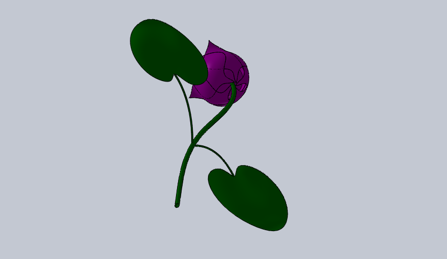 莲花
