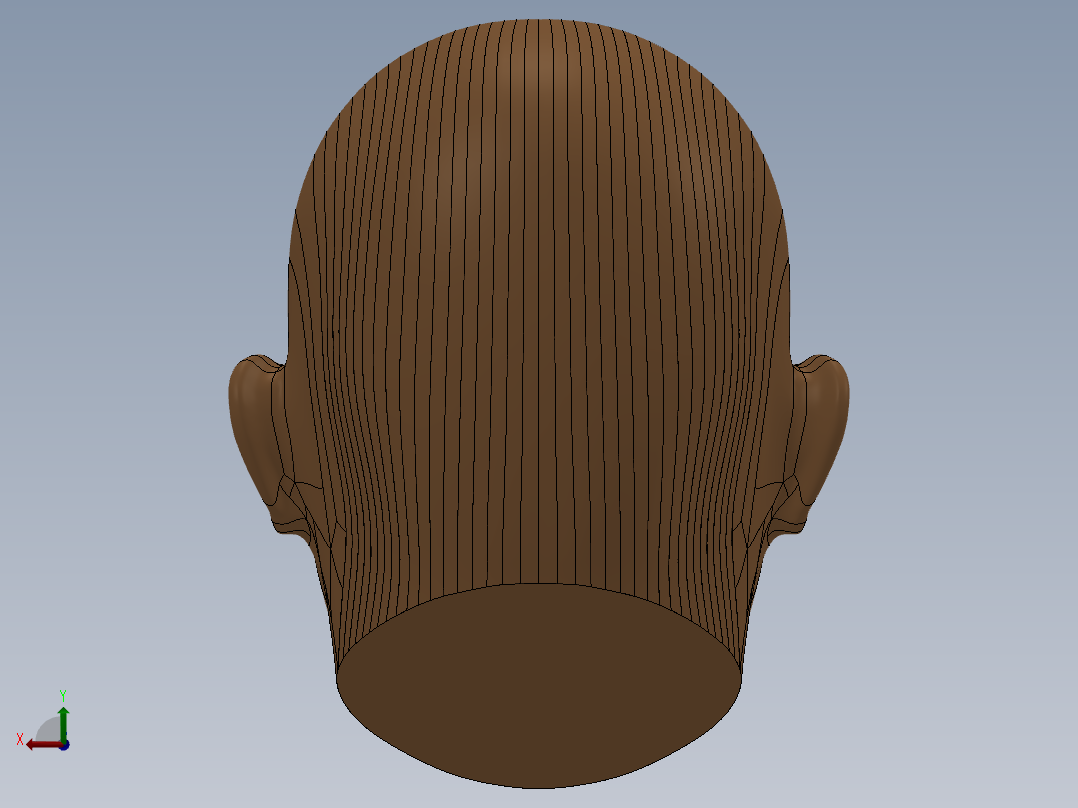 人头模型SW后视图