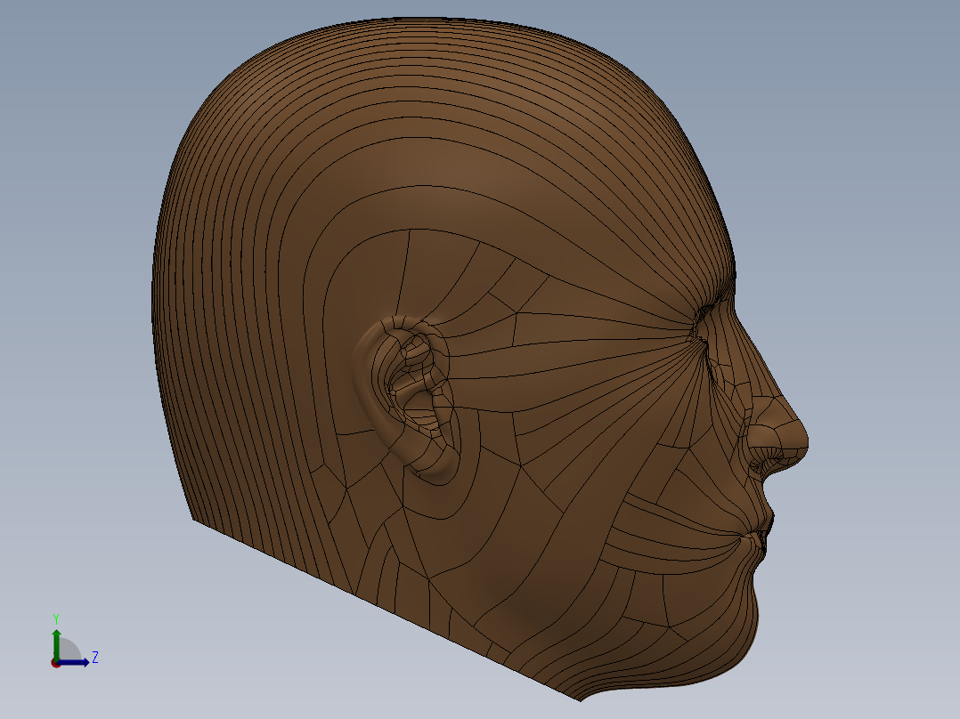 人头模型SW左视图