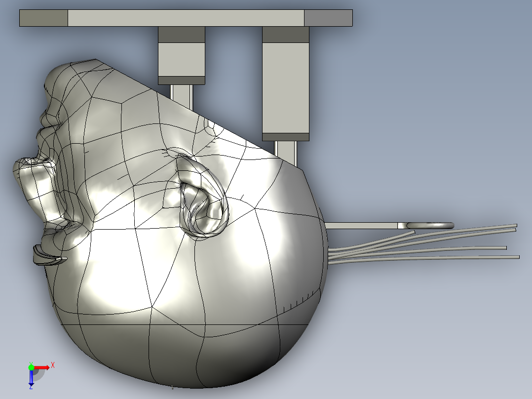 仿生头部模型的 3D 结构件俯视图
