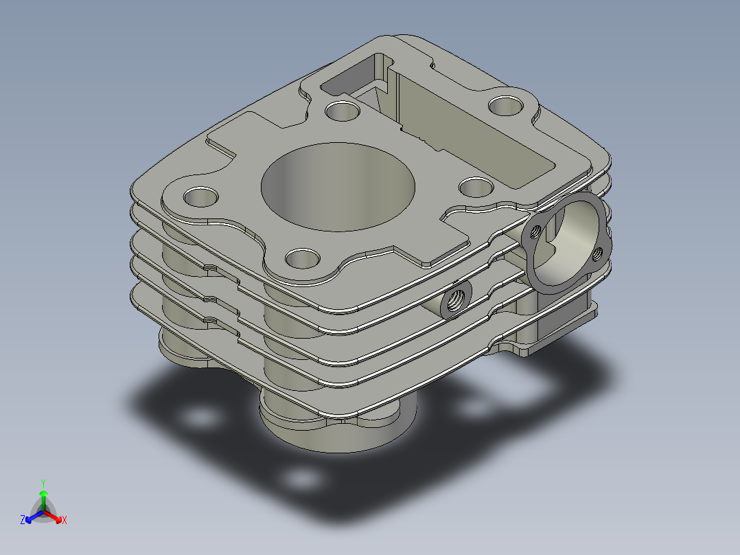 巴贾吉魅力 125cc 发动机缸体