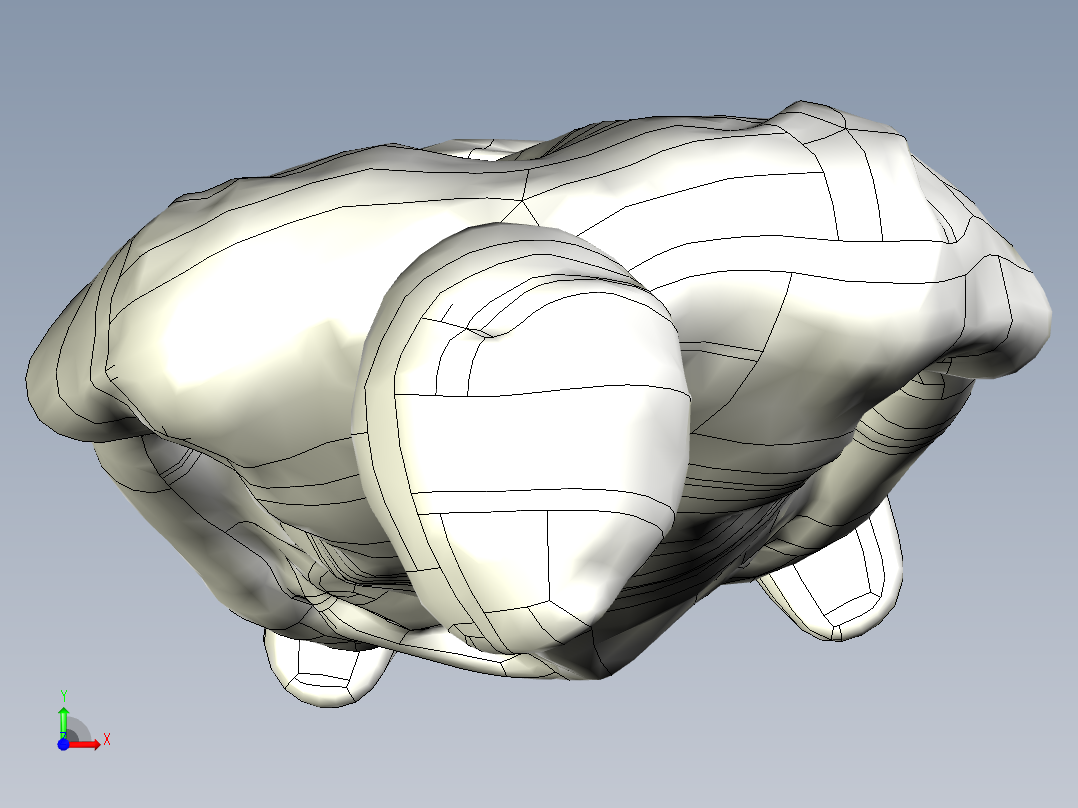 人体模型(104)前视图