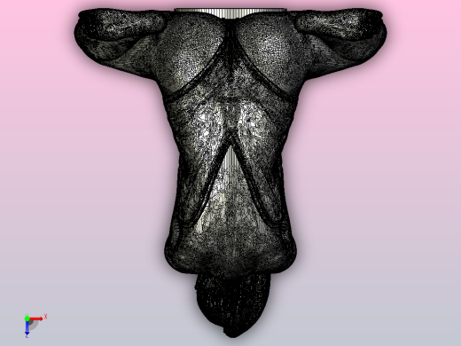 海滩上的女孩_stls俯视缩略图