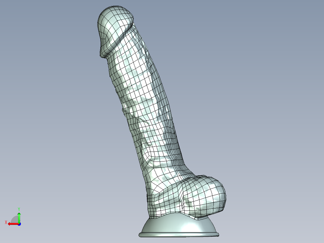 男性生殖器模具后视图