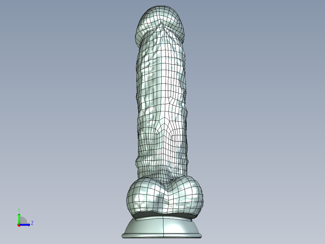 男性生殖器模具左视图