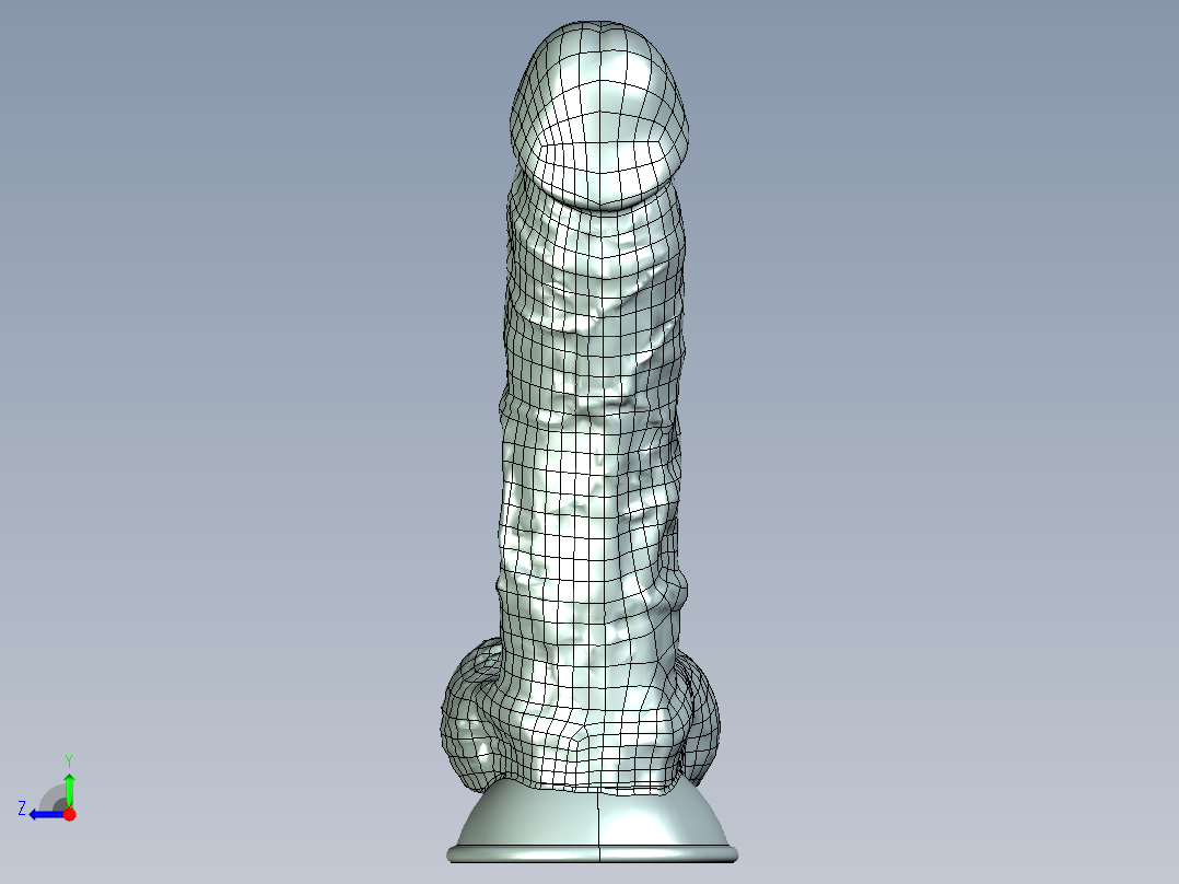 男性生殖器模具右视图