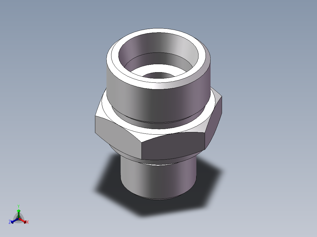 公制螺纹ED密封、1CM-22-16WD非标正等轴测图