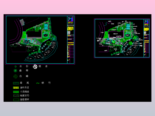 某地别墅庭院景观规划设计平面布置方案图