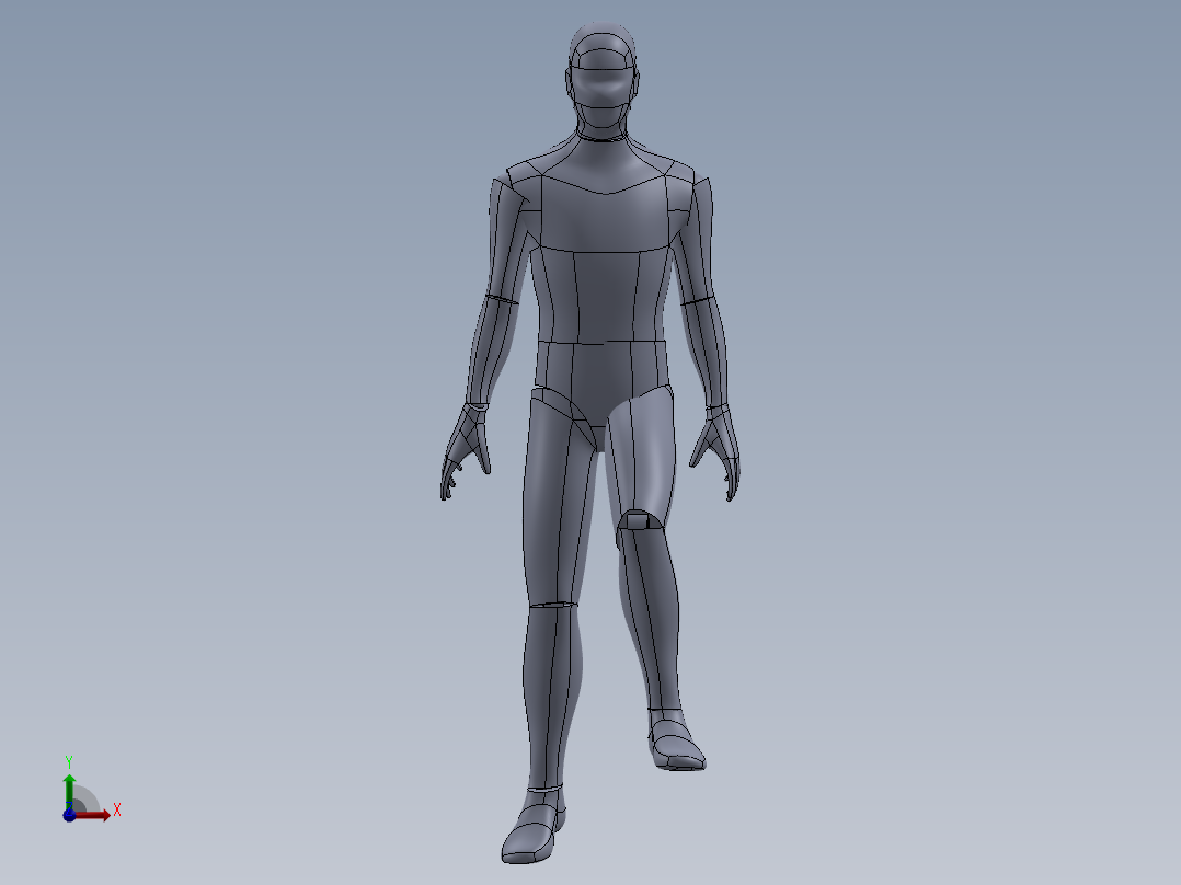 人体模型(25)前视图