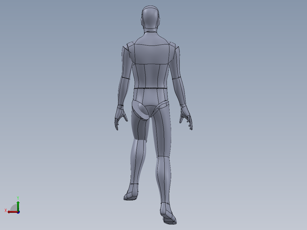 人体模型(25)后视图