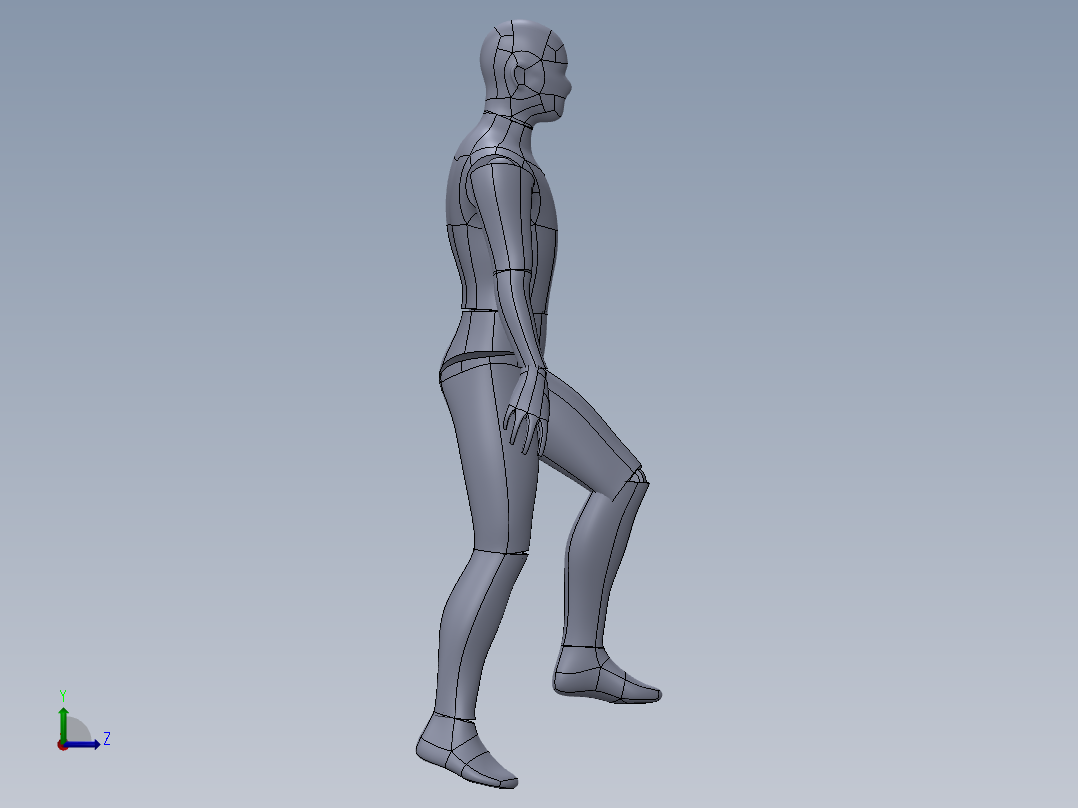 人体模型(25)左视图