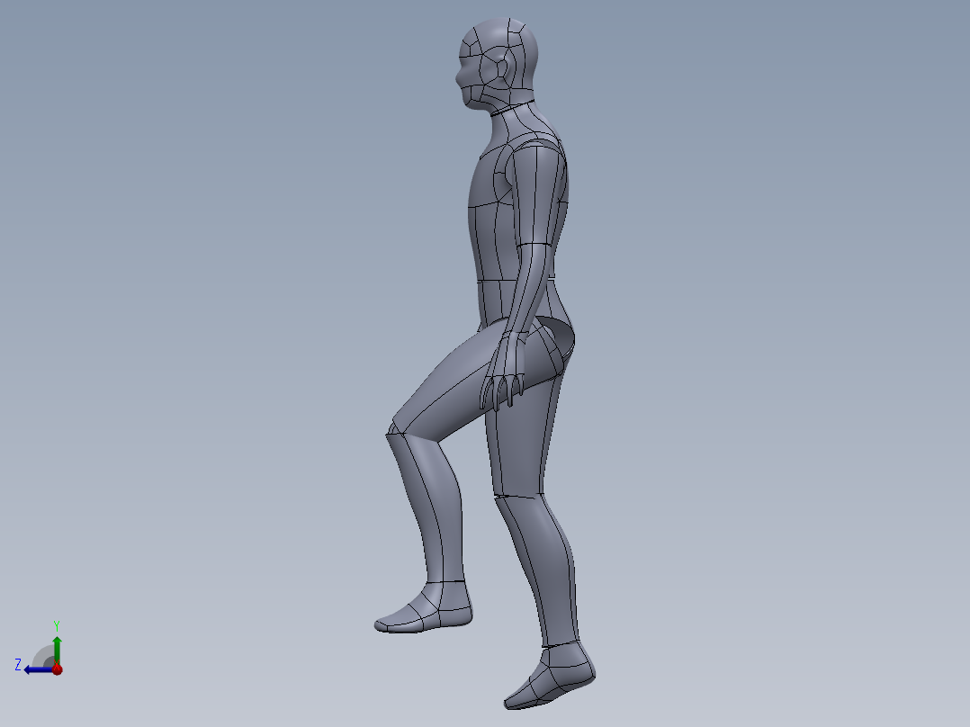 人体模型(25)右视图