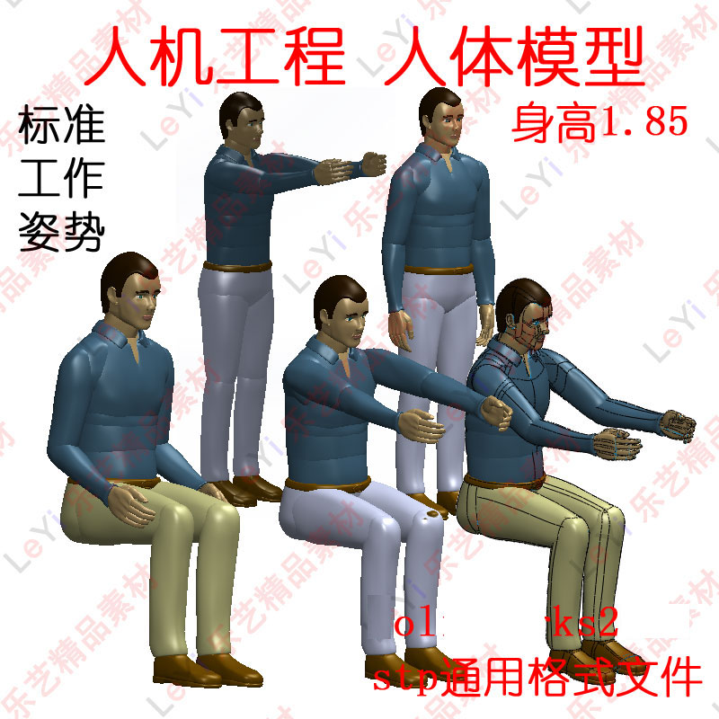 人机工程人体图纸模型标准工作姿势STP三维通用