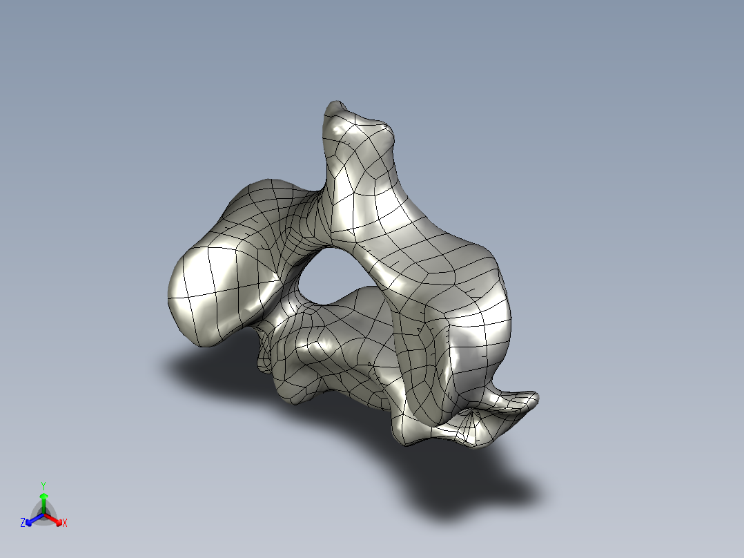 人体颈椎模型主视图