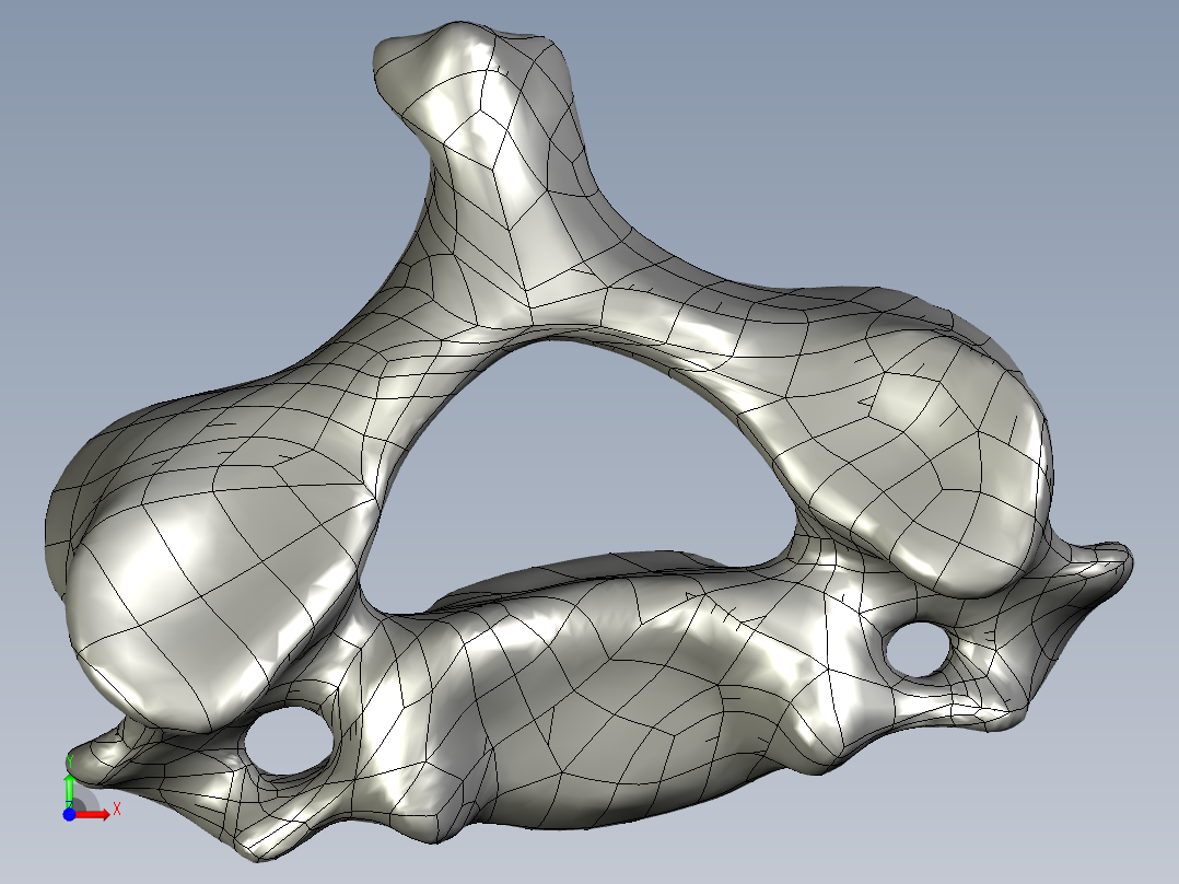 人体颈椎模型前视图