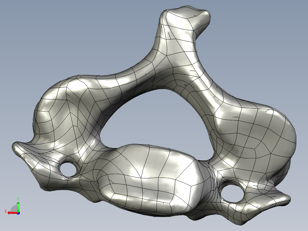 人体颈椎模型后视图