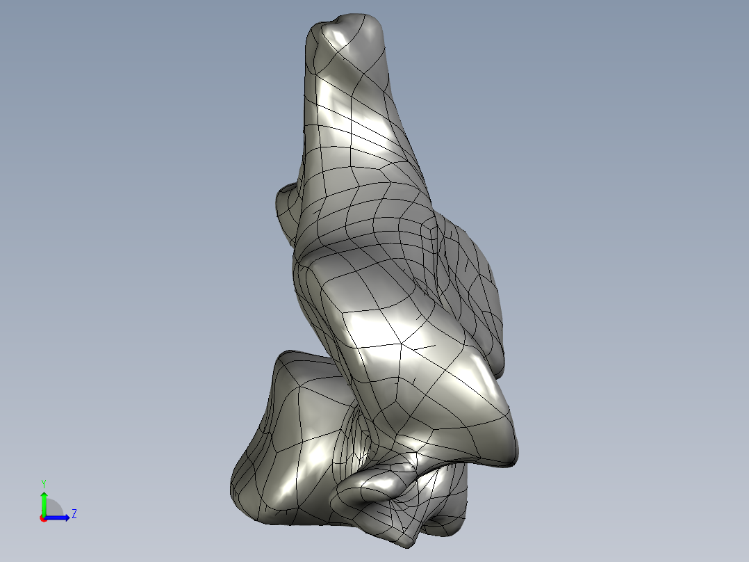 人体颈椎模型左视图
