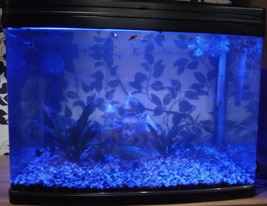 水族馆控制处理器缩略图