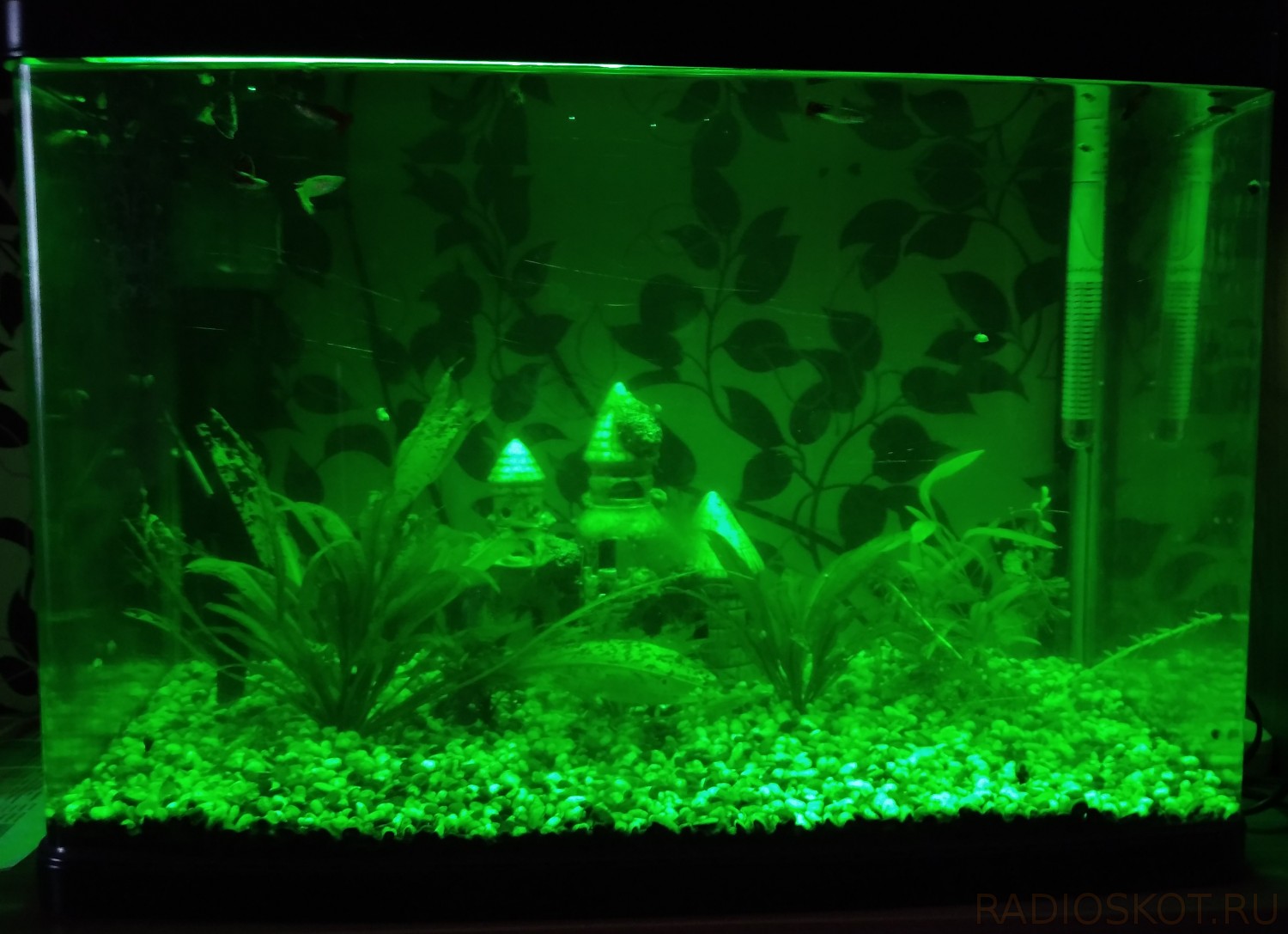 水族馆控制处理器