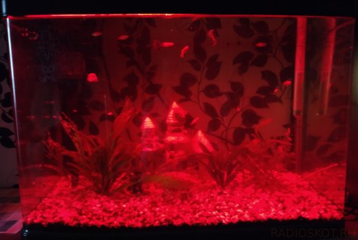水族馆控制处理器缩略图