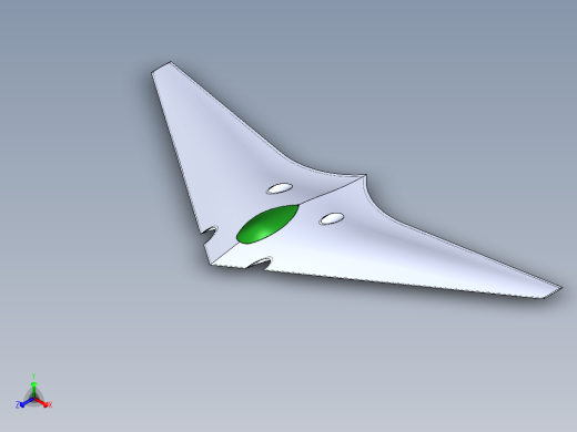 B2004130-概念飞机飞翼