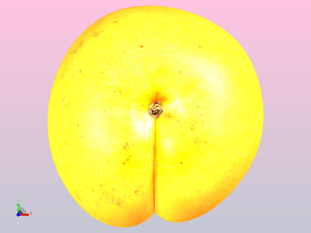 水果前视图