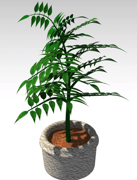 植物