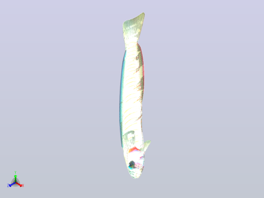 飞镖鱼