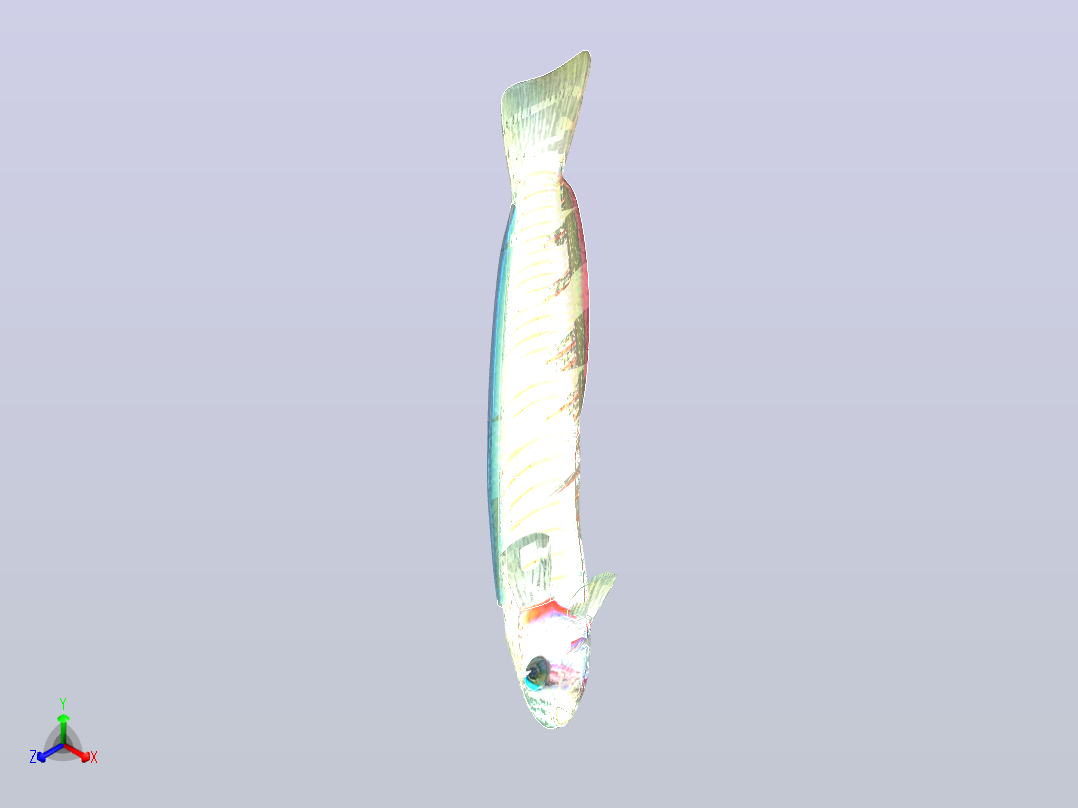 飞镖鱼正等轴测图
