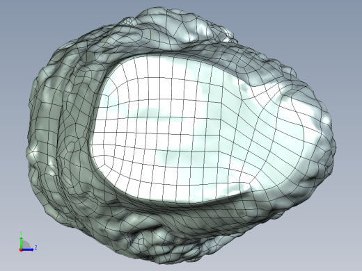 A2004975-雕塑扫描到表面左视缩略图
