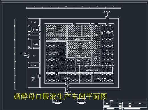 年产1000万瓶硒酵母口服液生产工艺设计缩略图