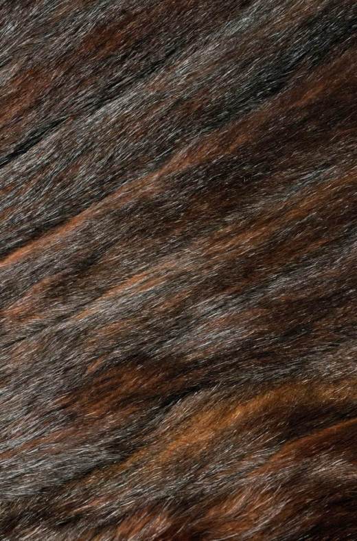 花蝴蝶 - 副本缩略图