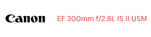 佳能镜头EF 300mm f2.8L缩略图