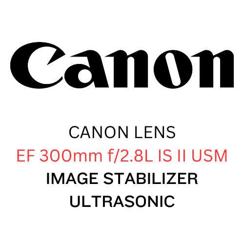 佳能镜头EF 300mm f2.8L缩略图