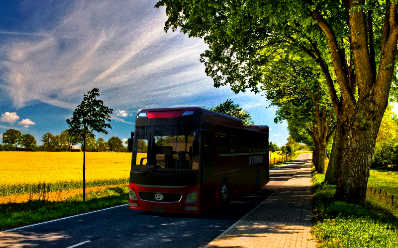 客车、公交车(20)