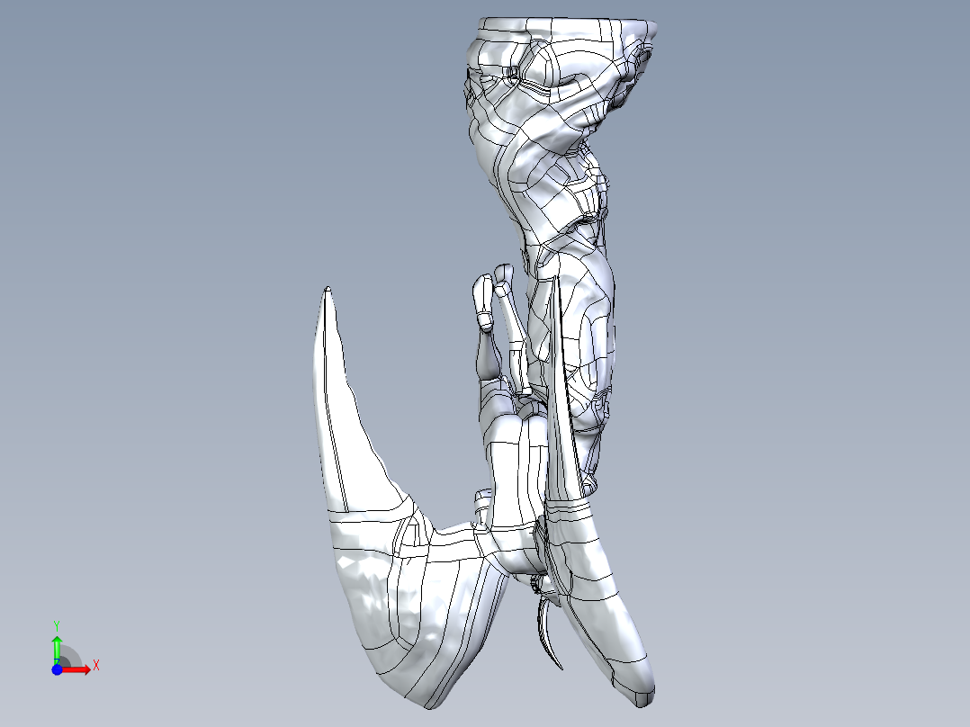 人体模型(17)前视图