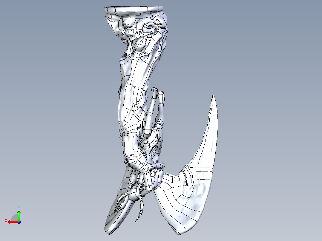 人体模型(17)后视图