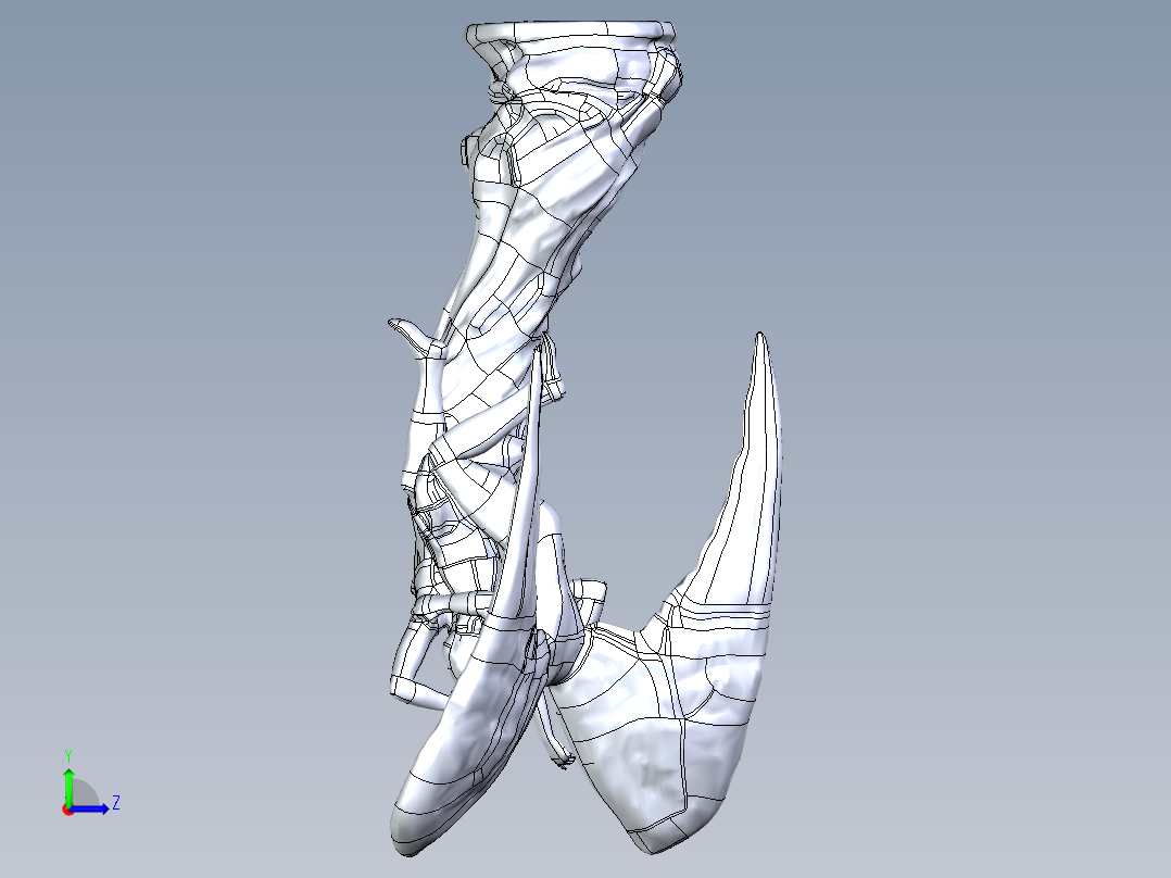 人体模型(17)左视图