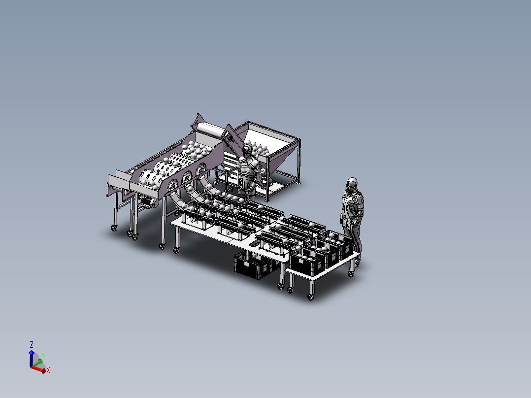B3_柑桔分选称重机流水线
