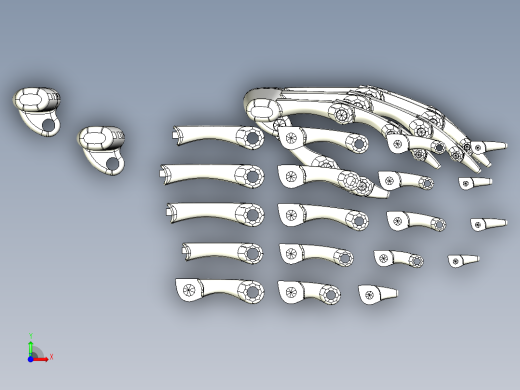 简易手掌骨骼前视缩略图