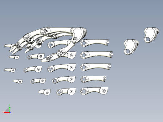 简易手掌骨骼后视缩略图