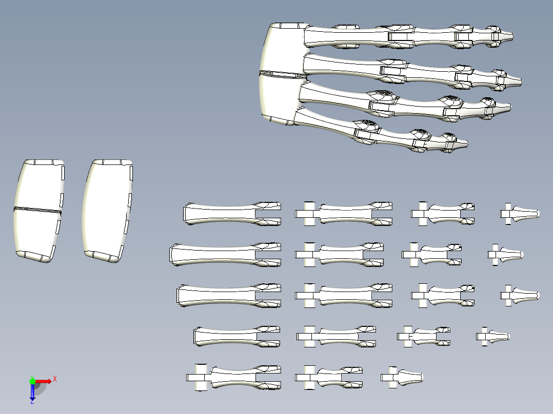 简易手掌骨骼俯视图