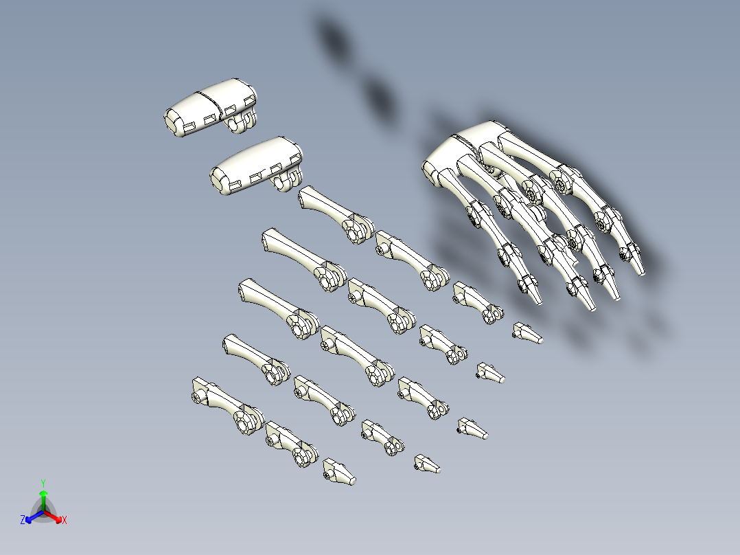 简易手掌骨骼正等轴测图