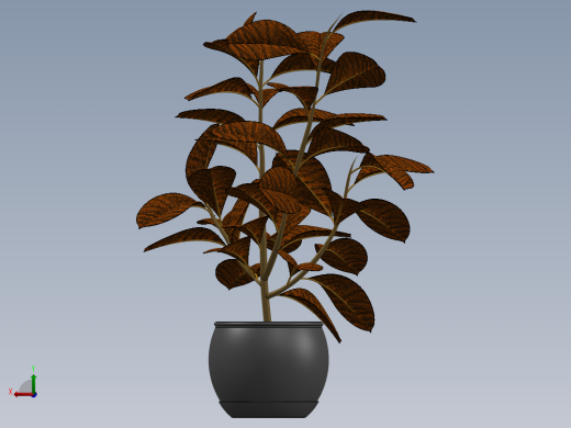 植物(64)后视缩略图