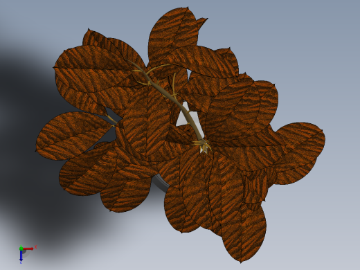 植物(64)俯视缩略图