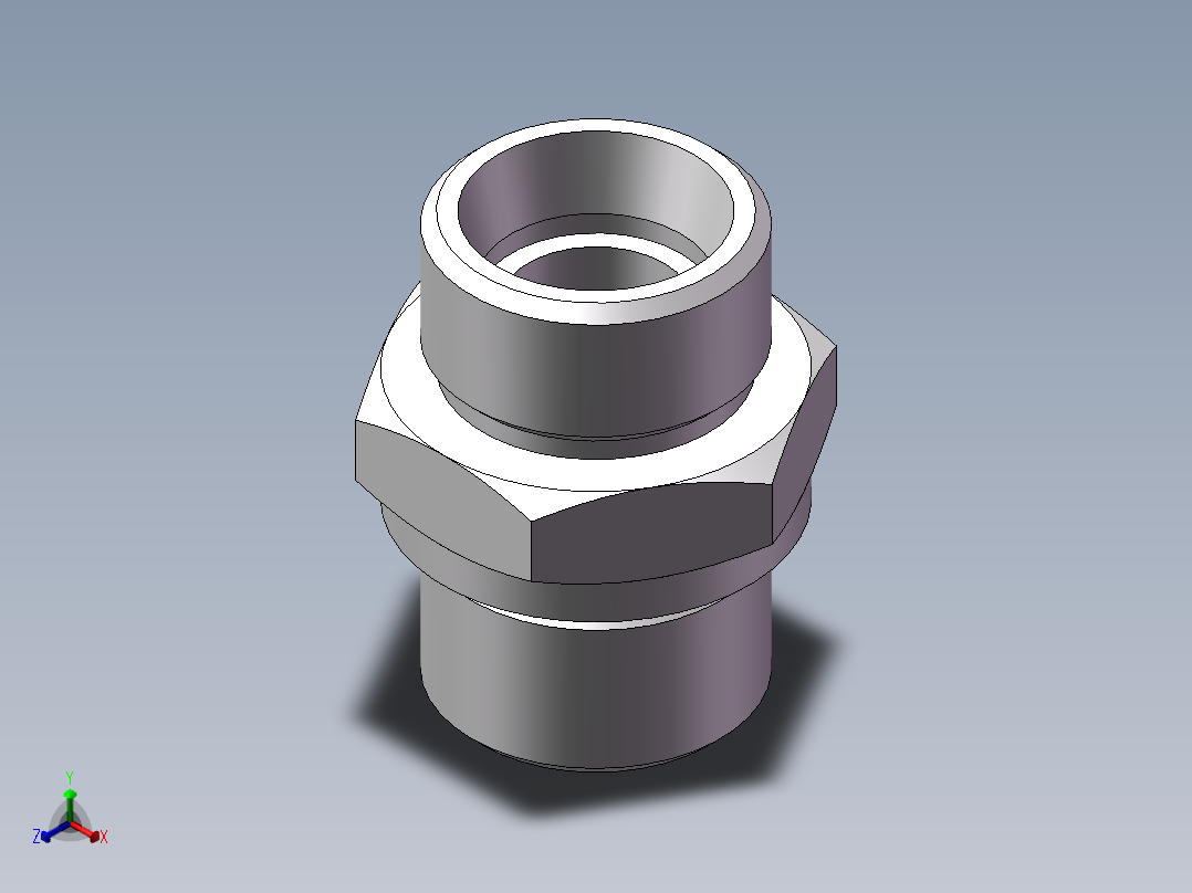 公制螺纹ED密封、1CM-22WD正等轴测图