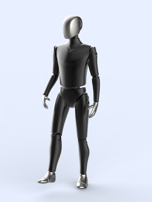 特斯拉-人形机器人Bot缩略图