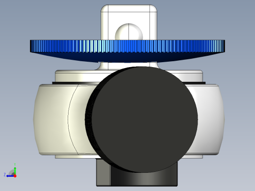 棘齿右视缩略图